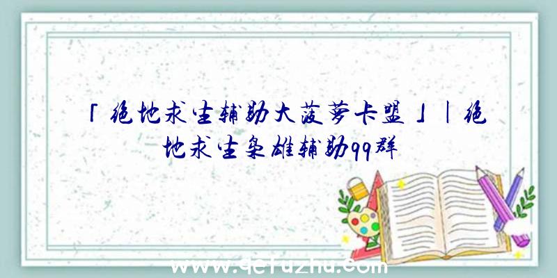 「绝地求生辅助大菠萝卡盟」|绝地求生枭雄辅助qq群